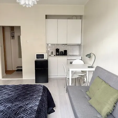 Renovated In The Middle Of Culture Ελσίνκι